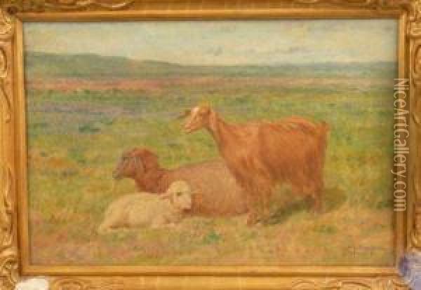 Amical Souvenir A Mlle Lucie Rigollet Oil Painting - John-Lewis Shonborn