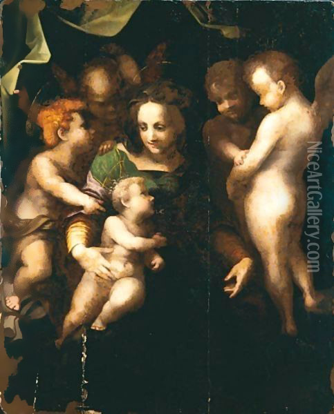 Madonna Col Bambino, San Giovannino E Tre Angeli Oil Painting - Andrea Del Sarto