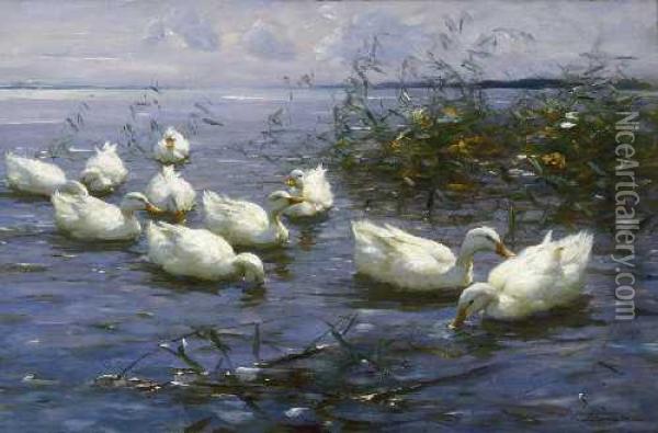 Zehn Weise Enten Im Wasser. Oil Painting - Alexander Max Koester