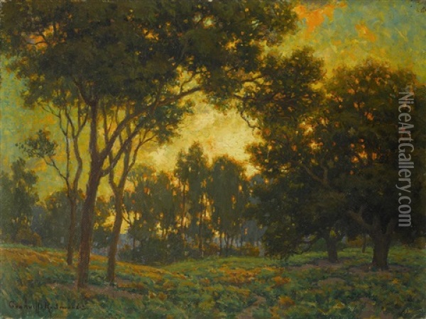 Sunset Through The Trees Oil Painting - Granville S. Redmond