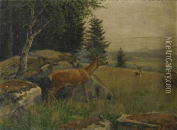 Venturing Out Of The Forest Oil Painting - Carl Zimmermann