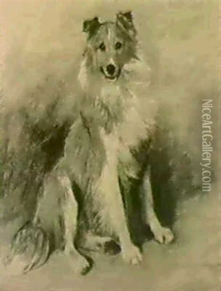 A Portrait Of The Collie 'darkie' Oil Painting - John Emms