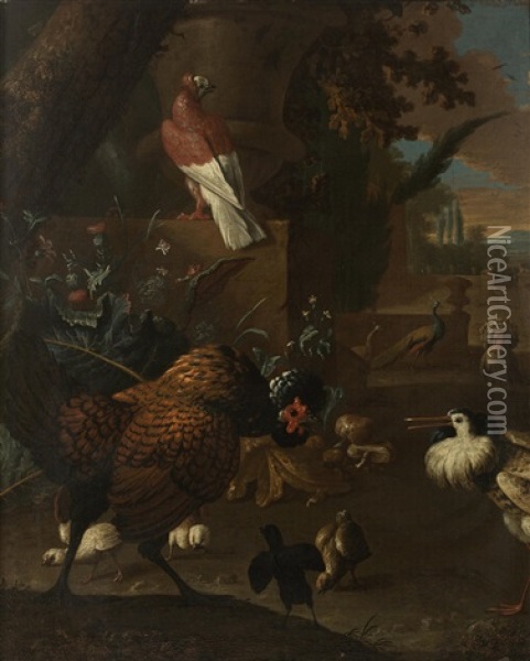 A Turkey, A Pigeon, A Peafowl, A Ruff And A Chicken With Chicks In A Park Oil Painting - Adriaen van Oolen