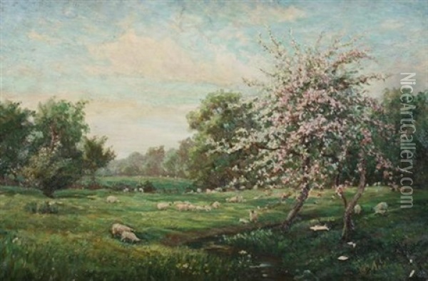 A Creekside Meadow Oil Painting - John Andrews