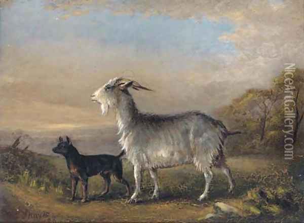 A goat and a terrier in a landscape Oil Painting - William Joseph Shayer