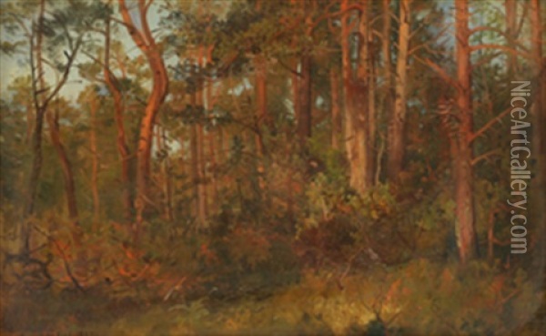 Furuskog Oil Painting - Anders Monsen Askevold