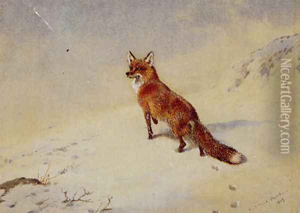 Startled Oil Painting - Archibald Thorburn