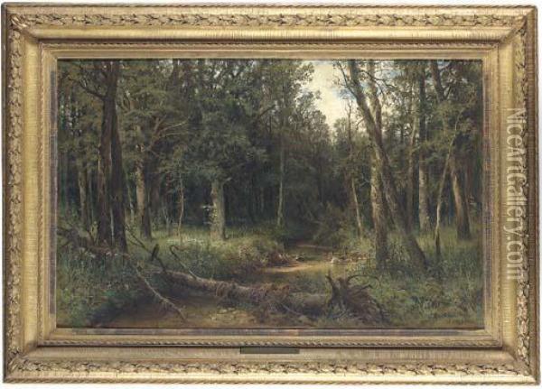 Wooded Landscape Oil Painting - Ivan Shishkin