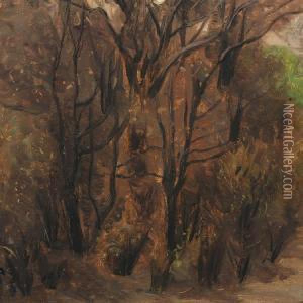 Forest Scenery Oil Painting - Agnes Slott-Mrller