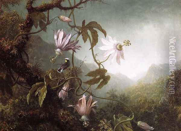 Hummingbird Perched Near Passion Flowers Oil Painting - Martin Johnson Heade