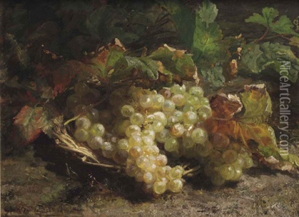 White Grapes In A Wicker Basket Oil Painting - Gerardina Jacoba van de Sande Bakhuyzen