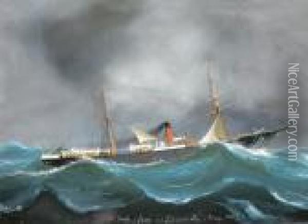 Ss Tarifa De Glasgow In A Gale In Bay Of Biscay Oil Painting - Luigi Roberto