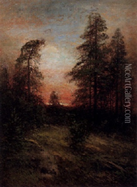 Afton, Motiv Fran Kolmarden Oil Painting - Johan Severin Nilsson