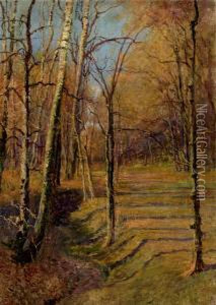 Herbstwald Oil Painting - Hugo Darnaut