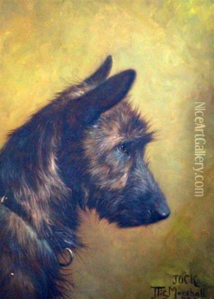 Portrait Of A Terrier Jock Oil Painting - John Fitz Marshall