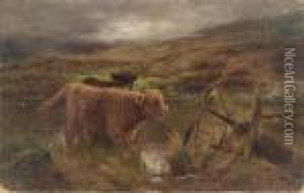 Highland Calves Watering Oil Painting - Louis Bosworth Hurt
