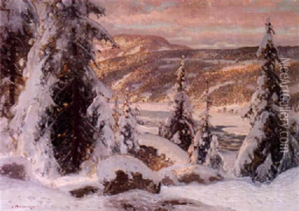 Norrlandskt Landskap, Solig Vinterdag Oil Painting - Carl Brandt
