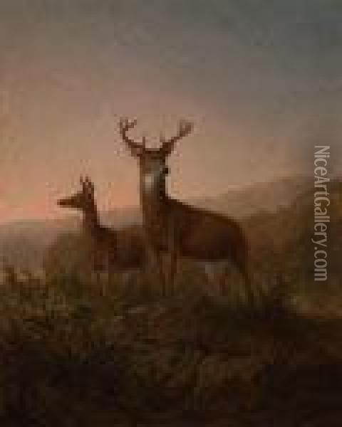Deer On A Mountainside Oil Painting - Thomas Hewes Hinckley