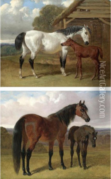A Mare And Foal Beside A Stable; A Mare And Foal In A Landscape Oil Painting - John Frederick Herring Snr