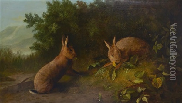 Rabbits Eating Dandelions Oil Painting - John Bucknell Russell