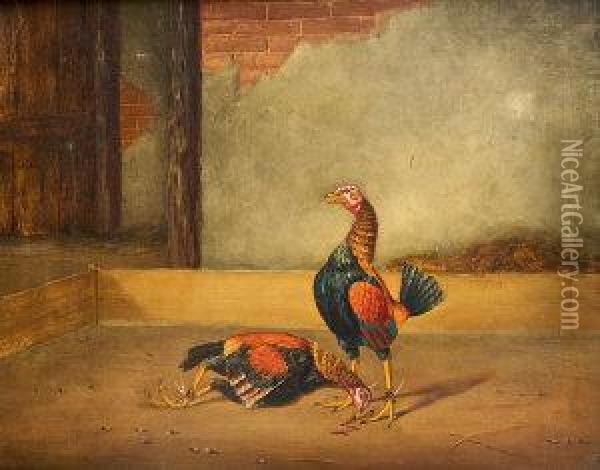 Cock Fighting Oil Painting - Hilton L. Pratt