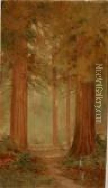 California Redwoods Oil Painting - Lorenzo Palmer Latimer