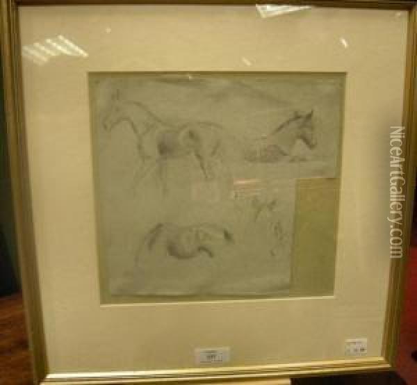 Studies Of A Foal Oil Painting - George Thomas Rope