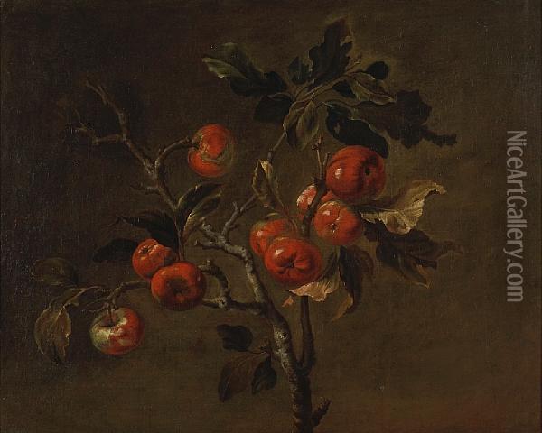 A Branch Of Ripe Apples Oil Painting - Antoine Berjon