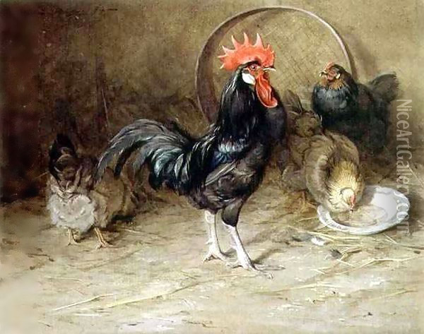 The Rooster Oil Painting - Edwin John Alexander