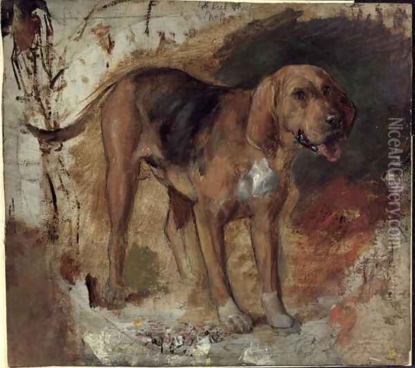 Study of a Bloodhound Oil Painting - William Holman Hunt