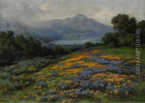Mt. Tamalpais Oil Painting - William Jackson