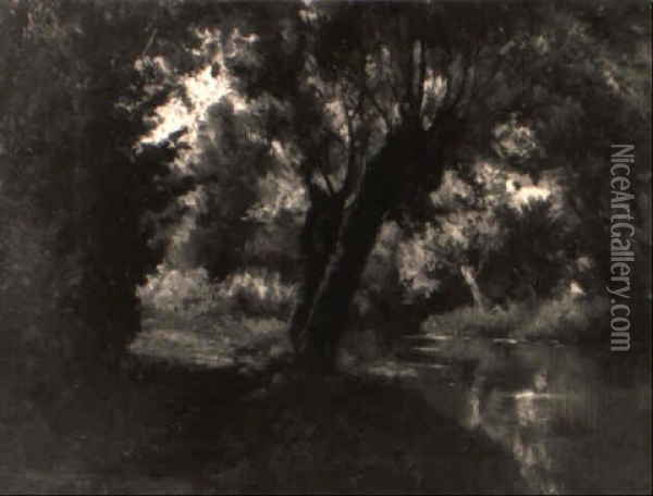 Le Ruisseau De Falmagne Oil Painting - Edmond De Schampheleer
