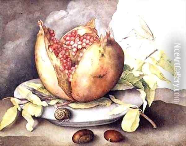 Pomegranate with Chestnuts Oil Painting - Giovanna Garzoni