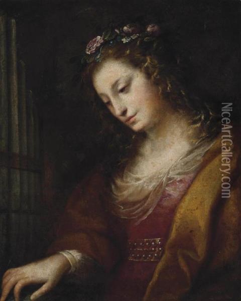 Saint Cecilia Oil Painting - Carlo Francesco Nuvolone