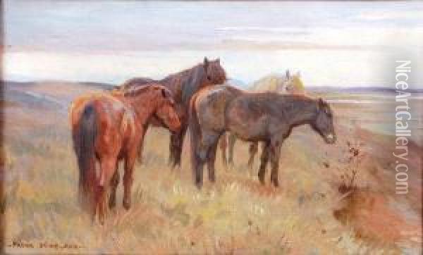 Ponies Grazing In A Coastal Landscape Oil Painting - Frank P. Stonelake