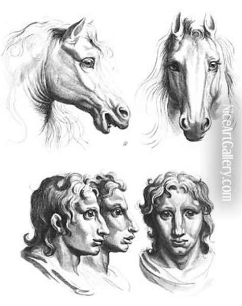Similarities between the heads of a horse and a man Oil Painting - Charles Le Brun