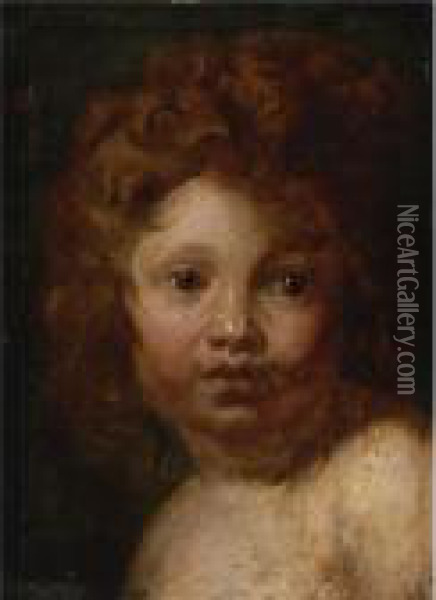 Portrait Of A Child With Red Hair Oil Painting - Peter Paul Rubens