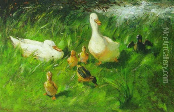 Ducks And Duckling On A Riverbank Oil Painting - Franciscus Willem Helfferich