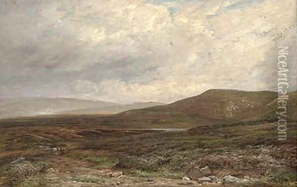 On the moors near Bolton, Yorkshire Oil Painting - Edmund Morison Wimperis
