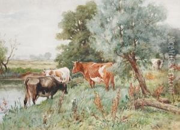 Cattle Grazing By A Riverbank Oil Painting - Claude Cardon