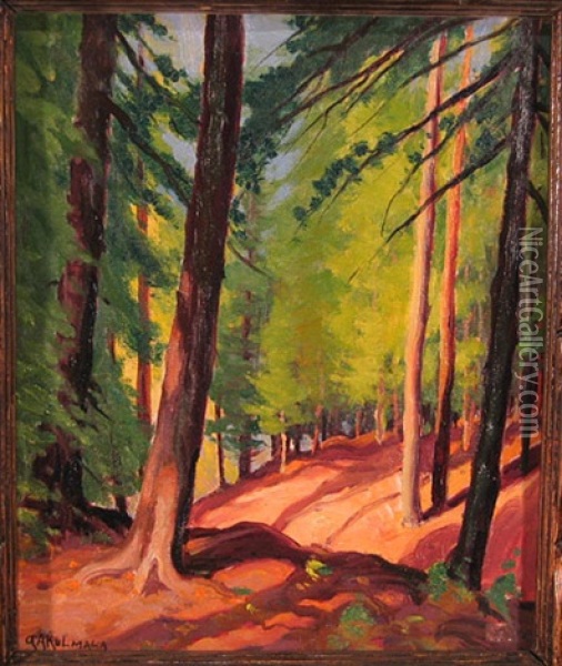 Sunlight Shadows Oil Painting - George Arthur Kulmala