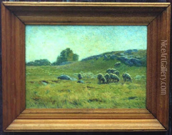 Old Sheep Pasture Oil Painting - Charles Henry Hayden
