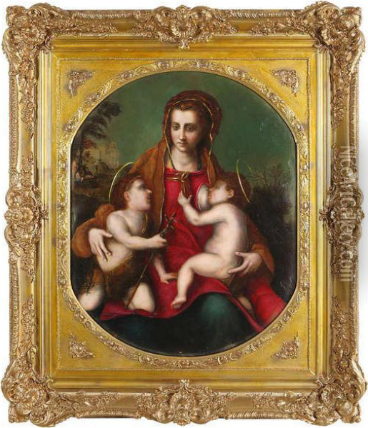Madonna Met Kleine Sint Jan Oil Painting - Andrea Del Sarto