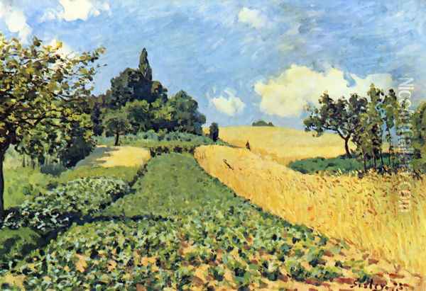 Getreidefelder auf den Hügeln von Argenteuil Oil Painting - Alfred Sisley