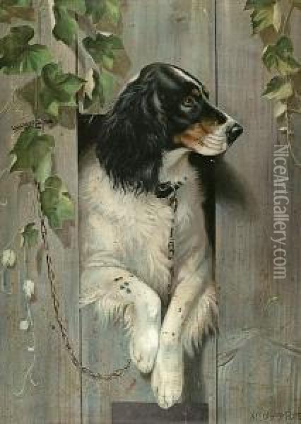 Dog Looking Through A Fence Chromolithograph On Tin Oil Painting - Alexander Pope