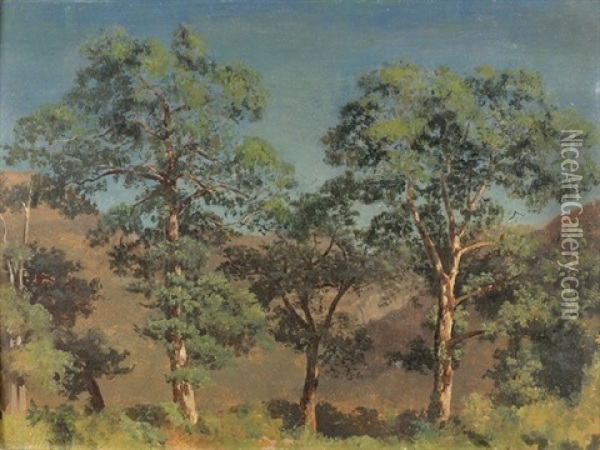 Landschaft Mit Baumen Oil Painting - Barthelemy Menn