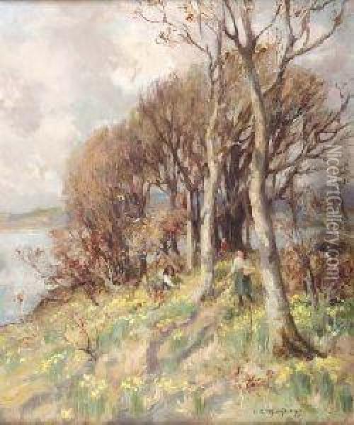 Host Of Golden Daffodils Oil Painting - William Stewart MacGeorge