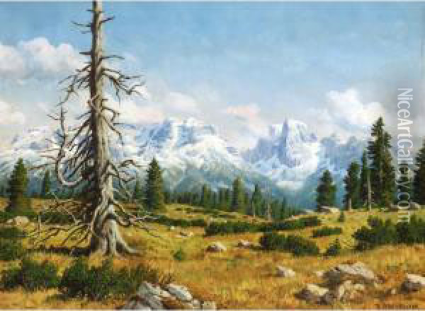 A View Of The Eiger Oil Painting - Rudolf Reschreiter