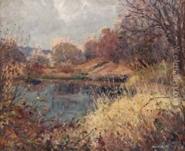Elbteich Im Herbst Oil Painting - Hans Licht