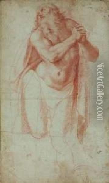 Etude Pour Un Saint Jerome Oil Painting - Girolamo Muziano